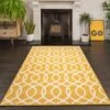 Yellow Trellis Living Room Area Rug -Kukoon Rugs Store 3605 gb11 6 3f9c3be0 4509 43be 8dad ff0b623cf9e5
