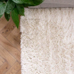 Super Soft Luxury Cream White Shaggy Rug -Kukoon Rugs Store Aspen Cream 3 Soft Cheap Shaggy Rug