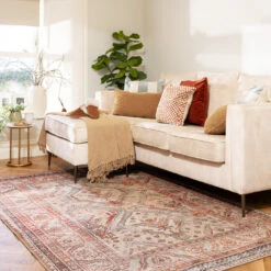 Distressed Terracotta Washable Rustic Rug - Rowe -Kukoon Rugs Store Everyday Rowe room web 2
