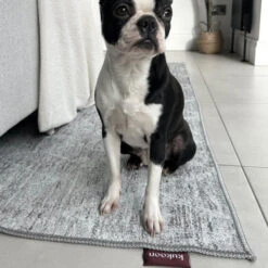 Washable Greige Berber Rug - Brindle -Kukoon Rugs Store Image 20250224 122818 201