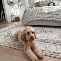 Cream Beige Medallion Runner - Artha -Kukoon Rugs Store Snapinsta.app 416553087 2029263567446420 4680777995663535754 n 1080