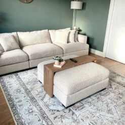 Flatwoven Washable Vintage Ivory Area Rug - Margot -Kukoon Rugs Store Snapinsta.app 466995350 1094267432229800 8129691446833089639 n 1080