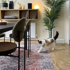 Flatwoven Washable Terracotta Medallion Area Rug - Neeve -Kukoon Rugs Store Untitled design 3 270e3154 2b0b 4b79 af1b efdc048cecc6