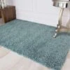 Duck Egg Shaggy Rug -Kukoon Rugs Store Vancouver Duck Egg Donnas 1 zps6y4jvwfd