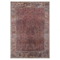 Soft Washable Red Vintage Rug - Violet