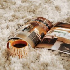 Plush Soft Greige Shaggy Rug - Zia 19 Plush Soft Greige Shaggy Rug - Zia -Kukoon Rugs Store autumn Zia living room emma 04713 for web