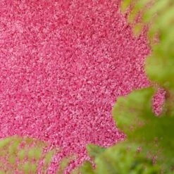 Barbie Pink Shaggy Circle Rug -Kukoon Rugs Store barbie 0736bvx 20 2 5B2 5D