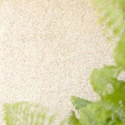 Cream Shaggy Runner Rug 8 Cream Shaggy Runner Rug -Kukoon Rugs Store cream 0999 5B1 5D