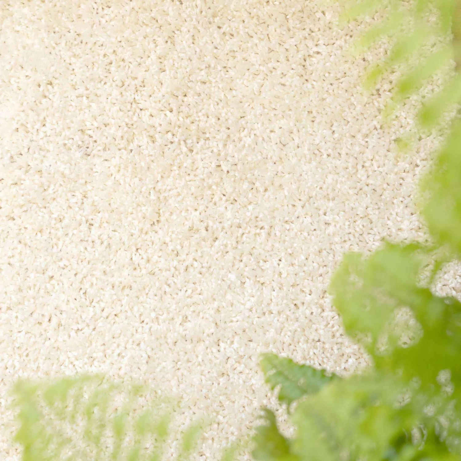 Cream Shaggy Runner Rug 4 Cream Shaggy Runner Rug - Image 2