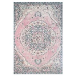 Distressed Pink Medallion Area Rug - Emelia