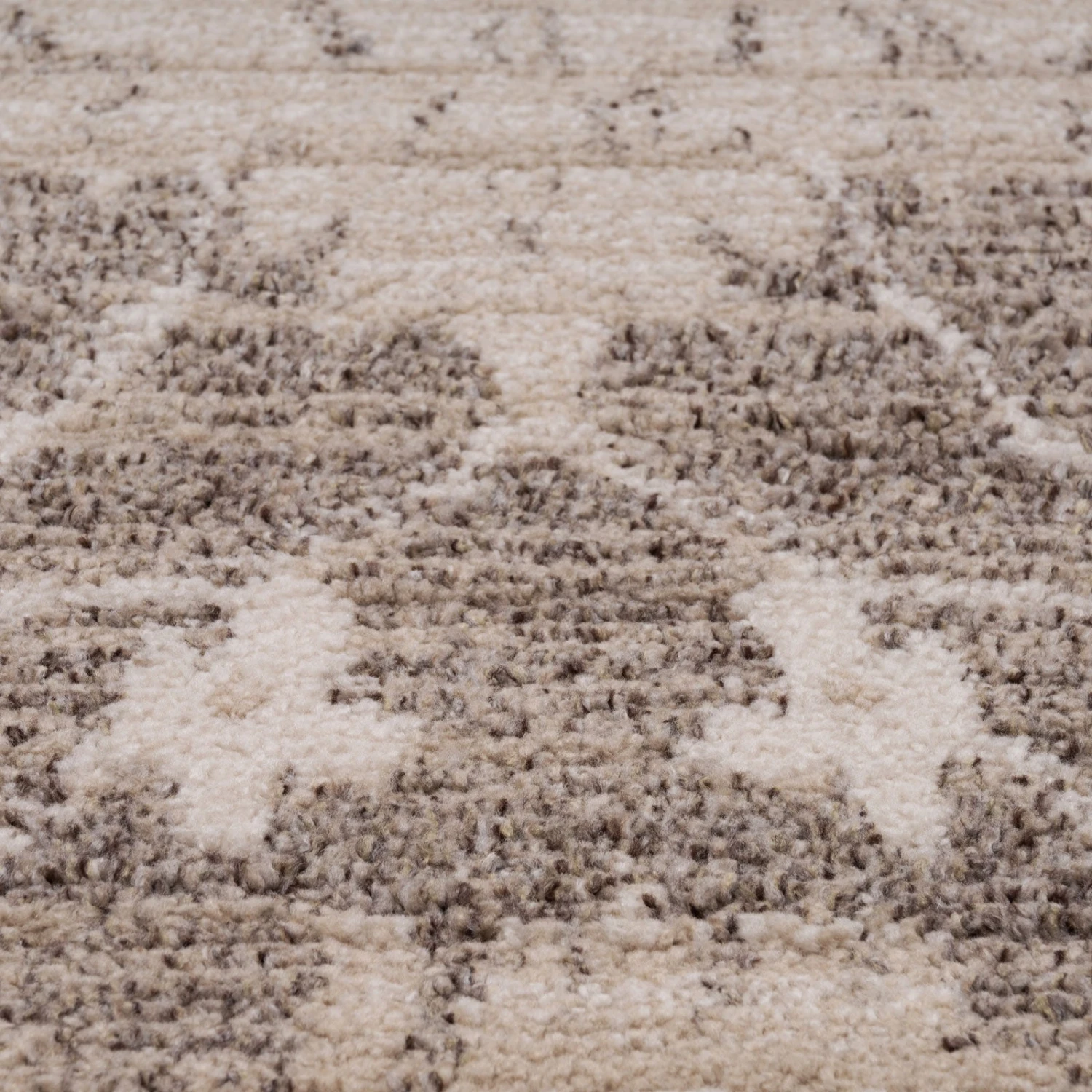 Neutral Floral Living Room Rug - Leonie 7 Neutral Floral Living Room Rug - Leonie - Image 5