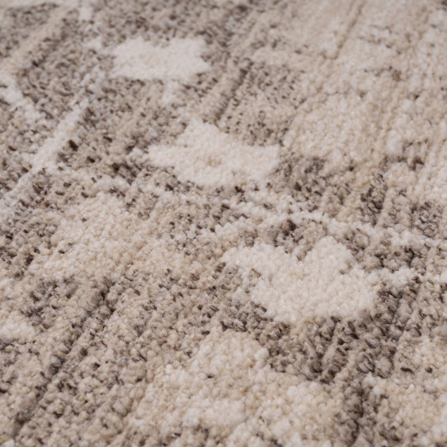 Neutral Floral Living Room Rug - Leonie 8 Neutral Floral Living Room Rug - Leonie - Image 6